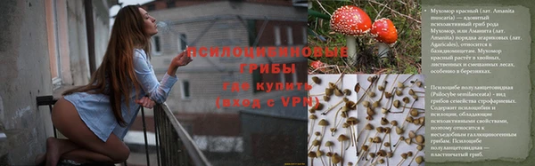 соль ск Абаза