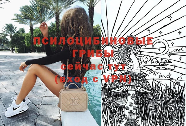 соль ск Абаза
