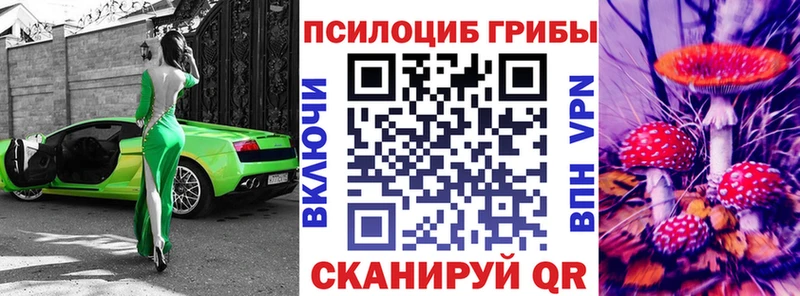 kraken   Александровск-Сахалинский  Псилоцибиновые грибы Magic Shrooms 
